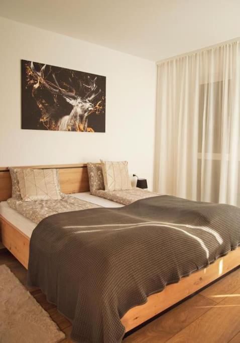אורדאה 5 Dream Apartment 5 Cu Parcare Privata מראה חיצוני תמונה